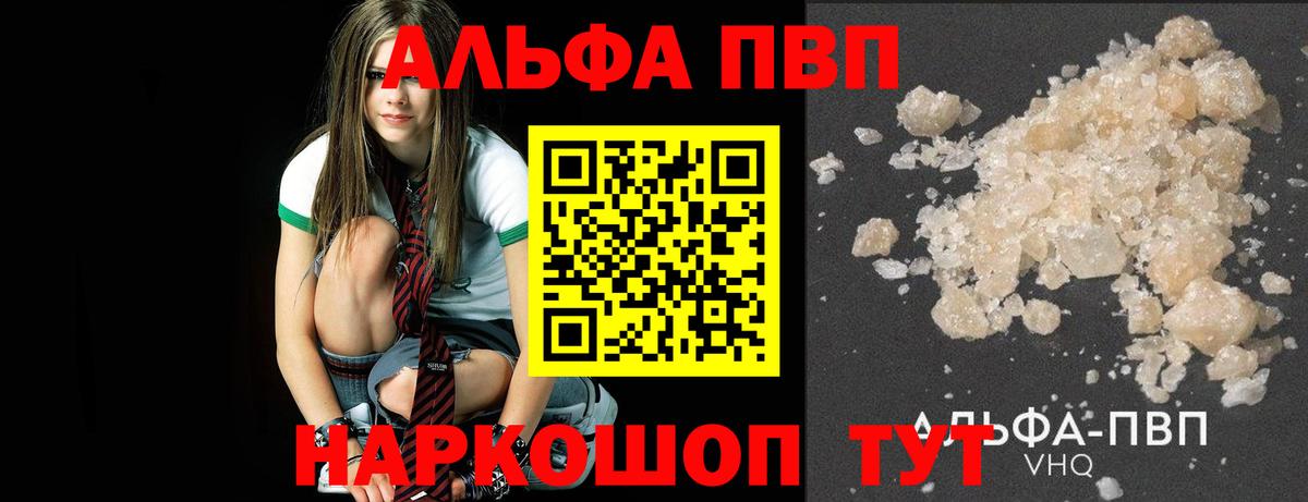 Alfa_PVP СК КРИС Губкин