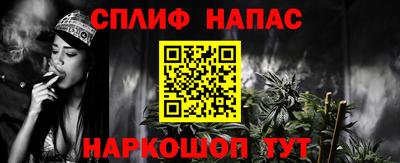 МДПВ Гатчина