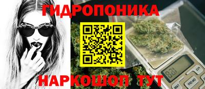 СК Гагарин
