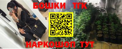 МДПВ Гатчина