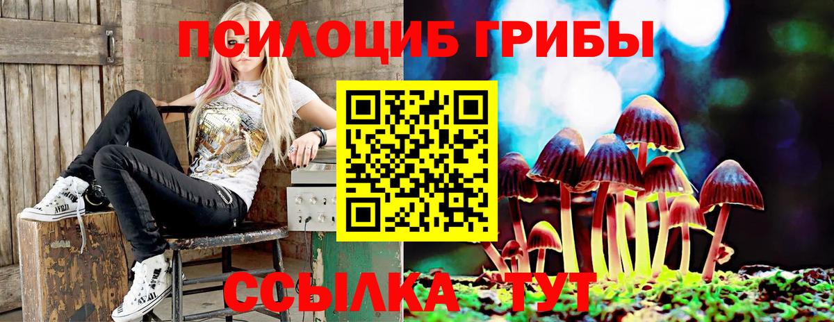 Псилоцибиновые грибы MAGIC MUSHROOMS Губкин