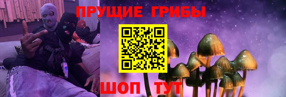 Губкин  Галлюциногенные грибы MAGIC MUSHROOMS  Вход с VPN 